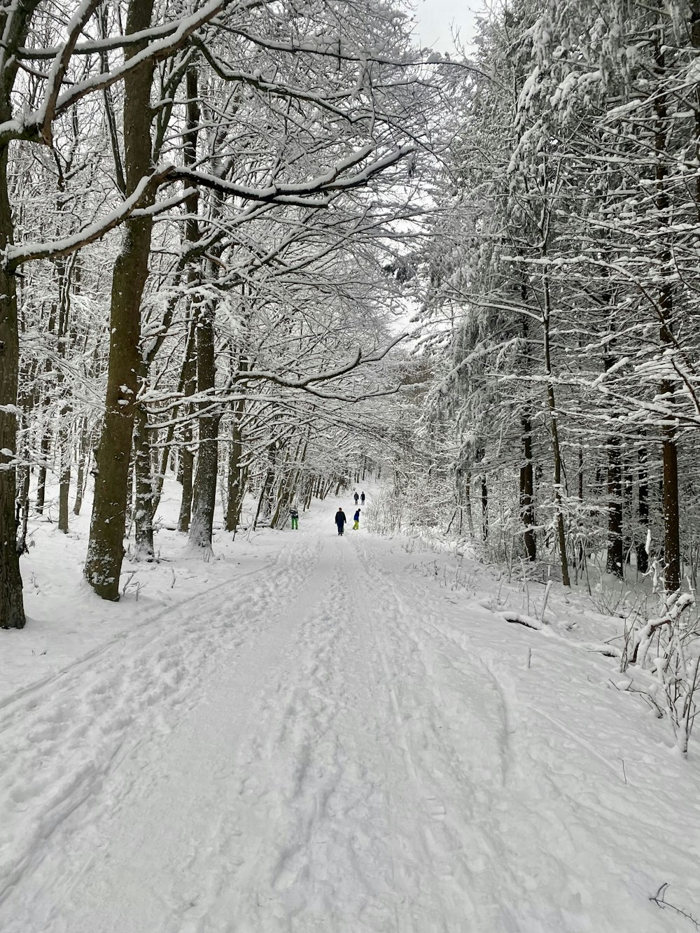 a couple of people walking down a snow covered road