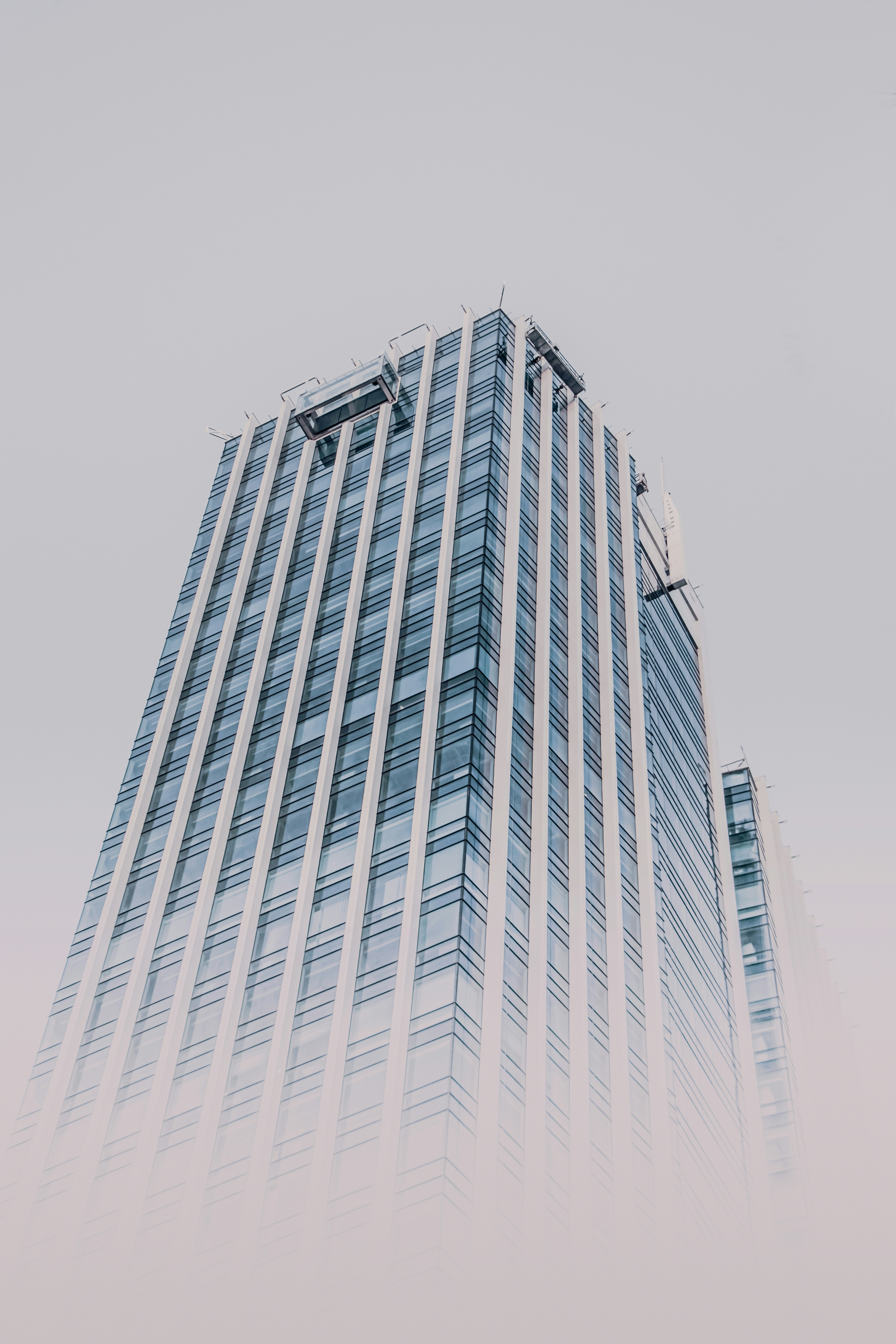 Photo by mahdibafande