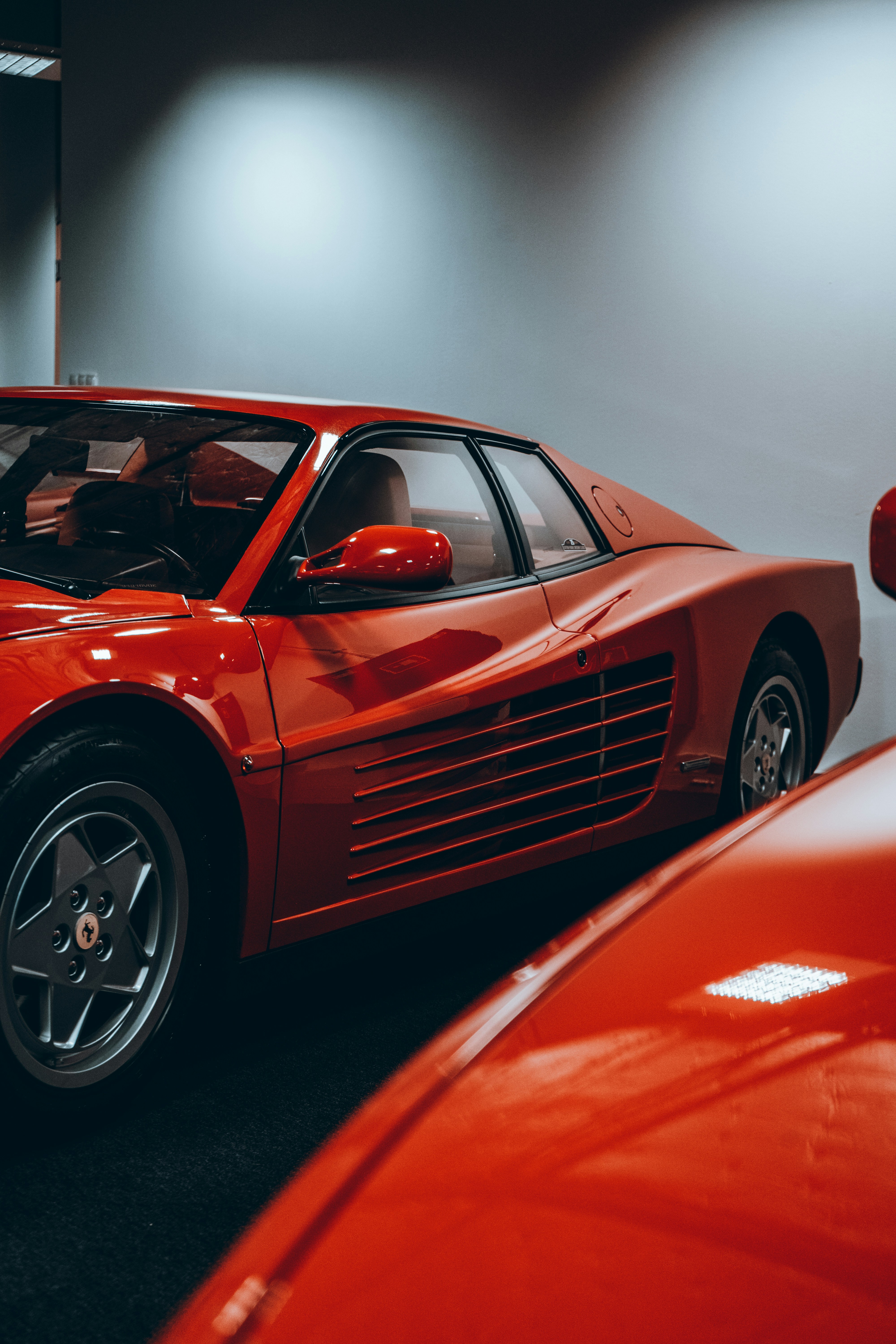 Photo by patryk_wojcieszak