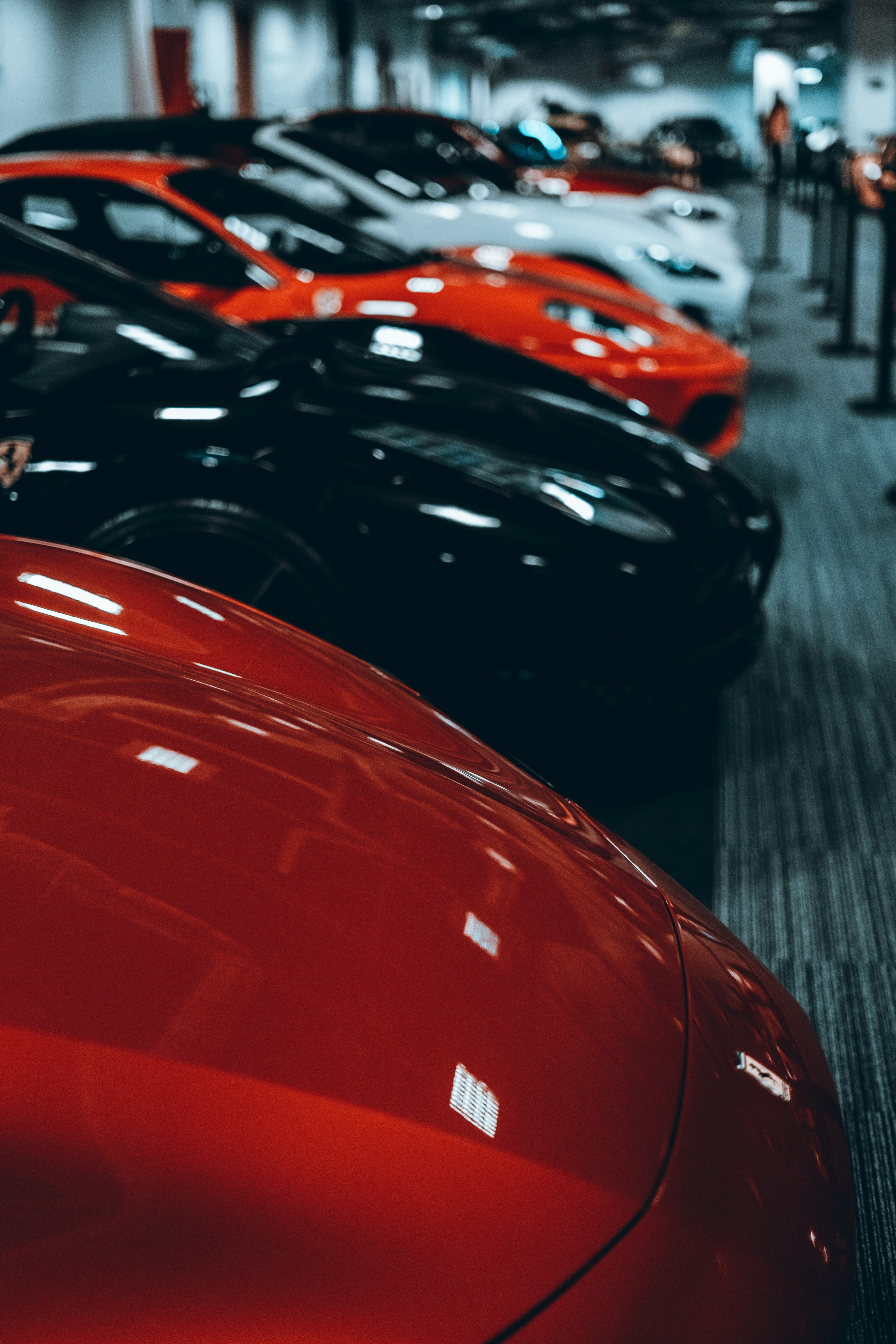 Photo by patryk_wojcieszak