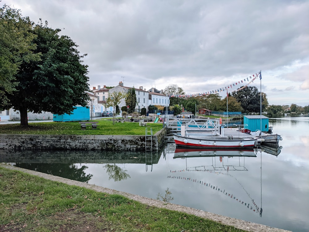 a body of water with a bunch of boats in it