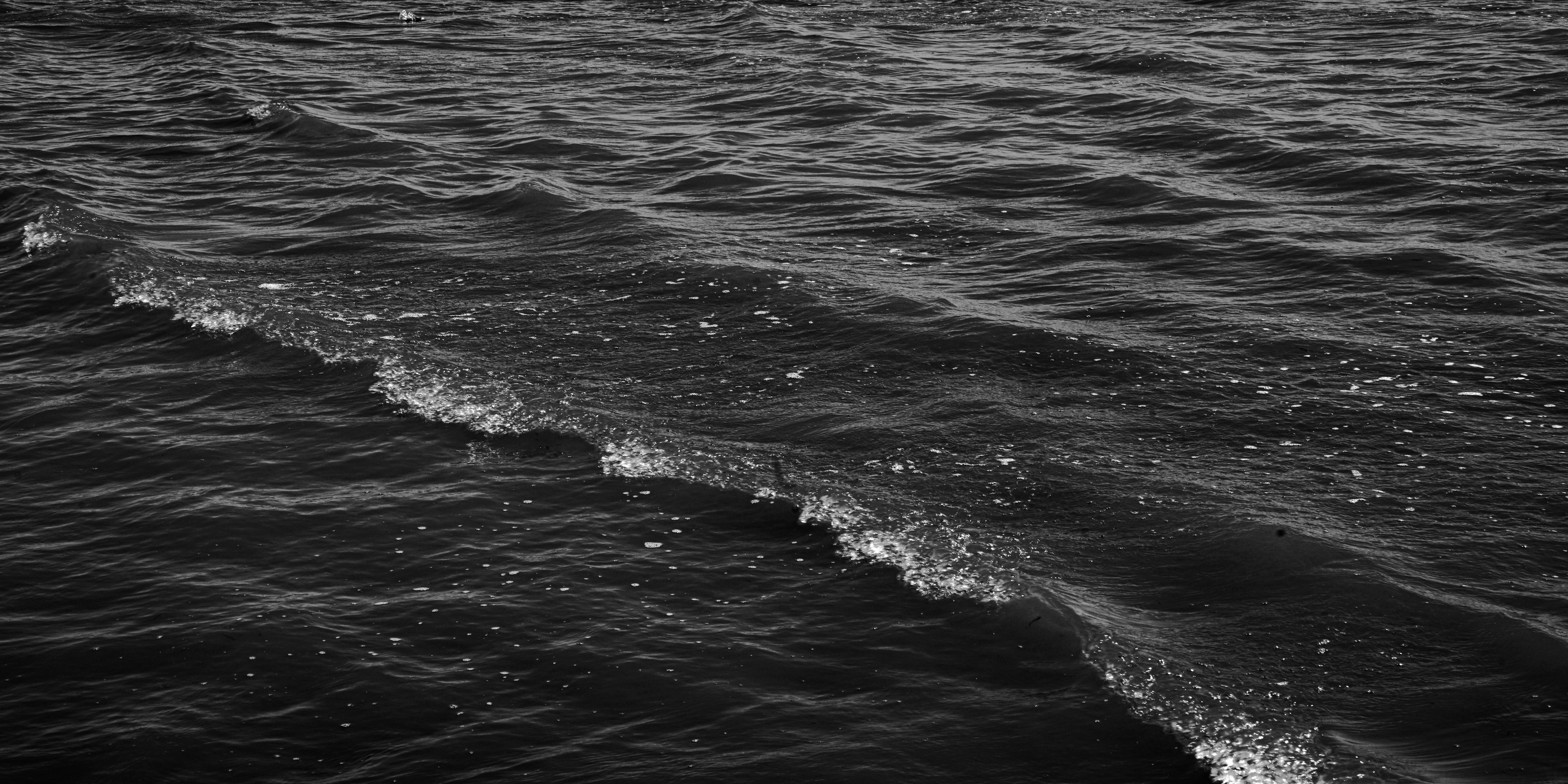 Photo by mahdimoghaddas