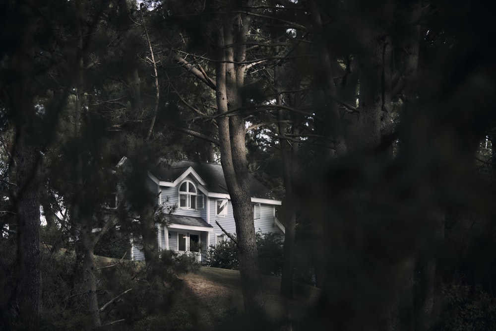 a house is seen through the trees in the dark