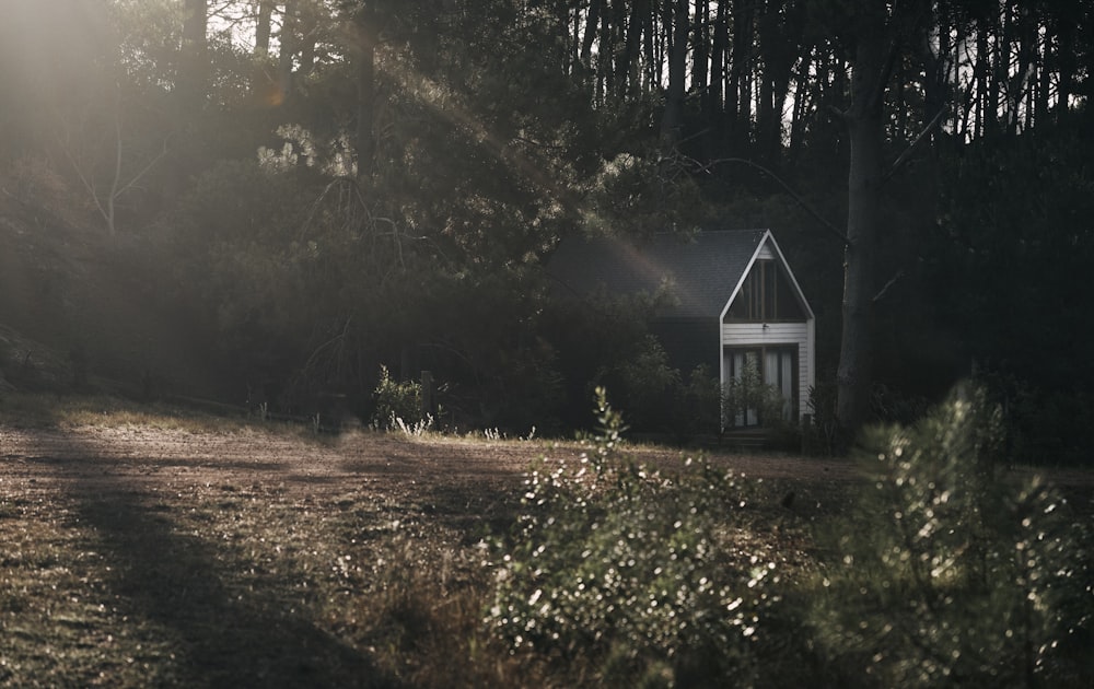 a small house in the middle of a forest