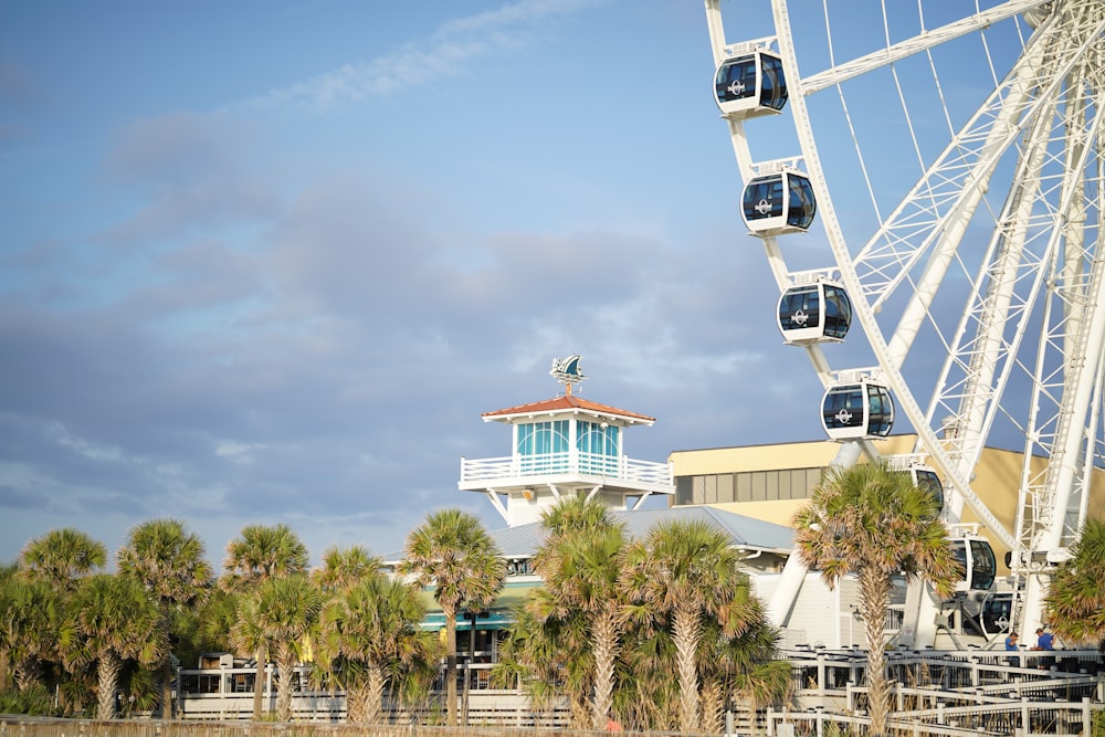 a ferris wheel sitting next to a building and palm trees