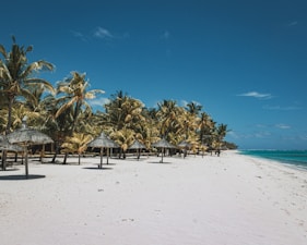 A serene beachscape with white sand and clear blue skies. Palm trees line the beach, providing a tropical vibe. Several thatched umbrellas are positioned along the shoreline, indicating a relaxing, resort-like environment. The ocean is calm, with shades of blue and hints of turquoise near the shore.