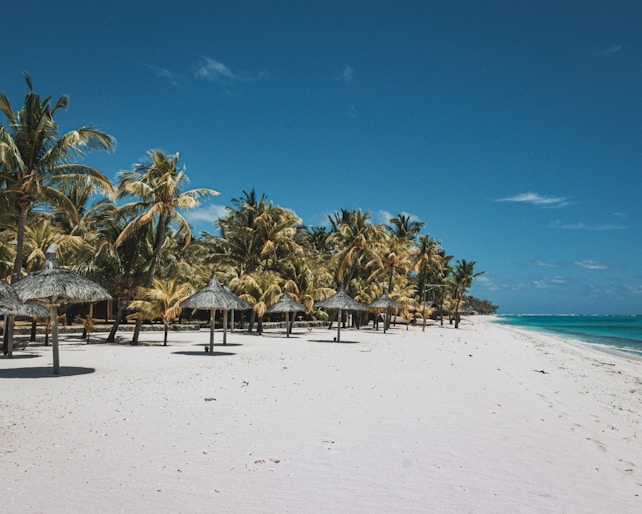 A serene beachscape with white sand and clear blue skies. Palm trees line the beach, providing a tropical vibe. Several thatched umbrellas are positioned along the shoreline, indicating a relaxing, resort-like environment. The ocean is calm, with shades of blue and hints of turquoise near the shore.