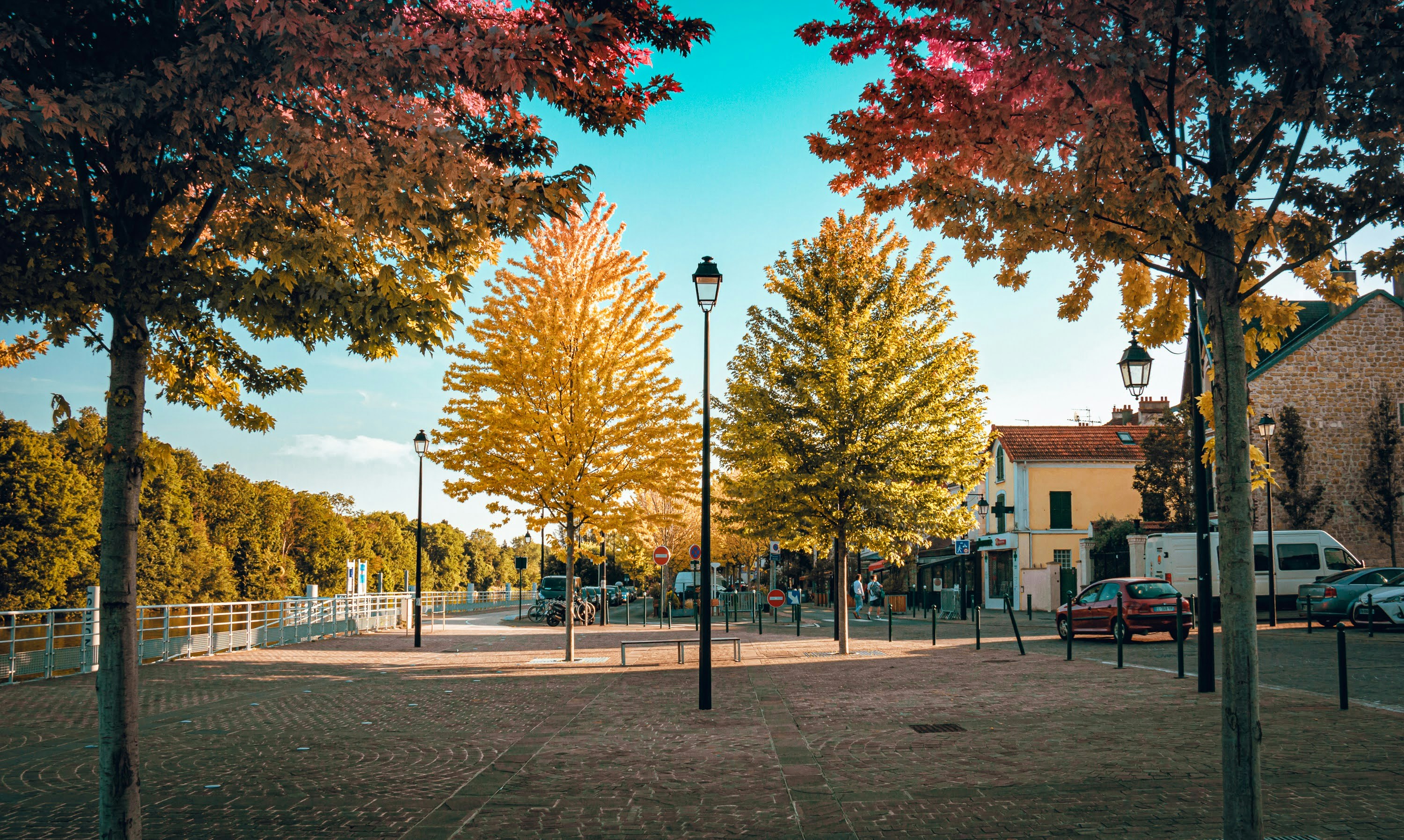 a park with a lot of trees and a street light