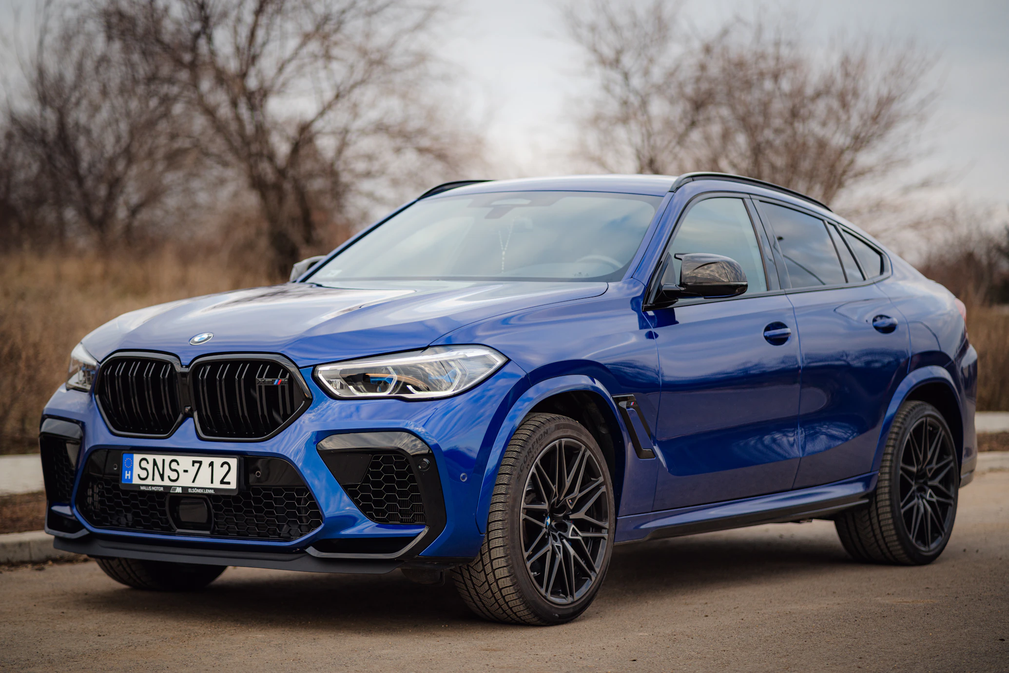 BMW X6