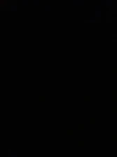 An empty black screen symbolizing total absence of content.