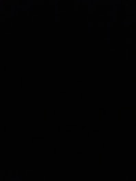 No image provided as per instructions.