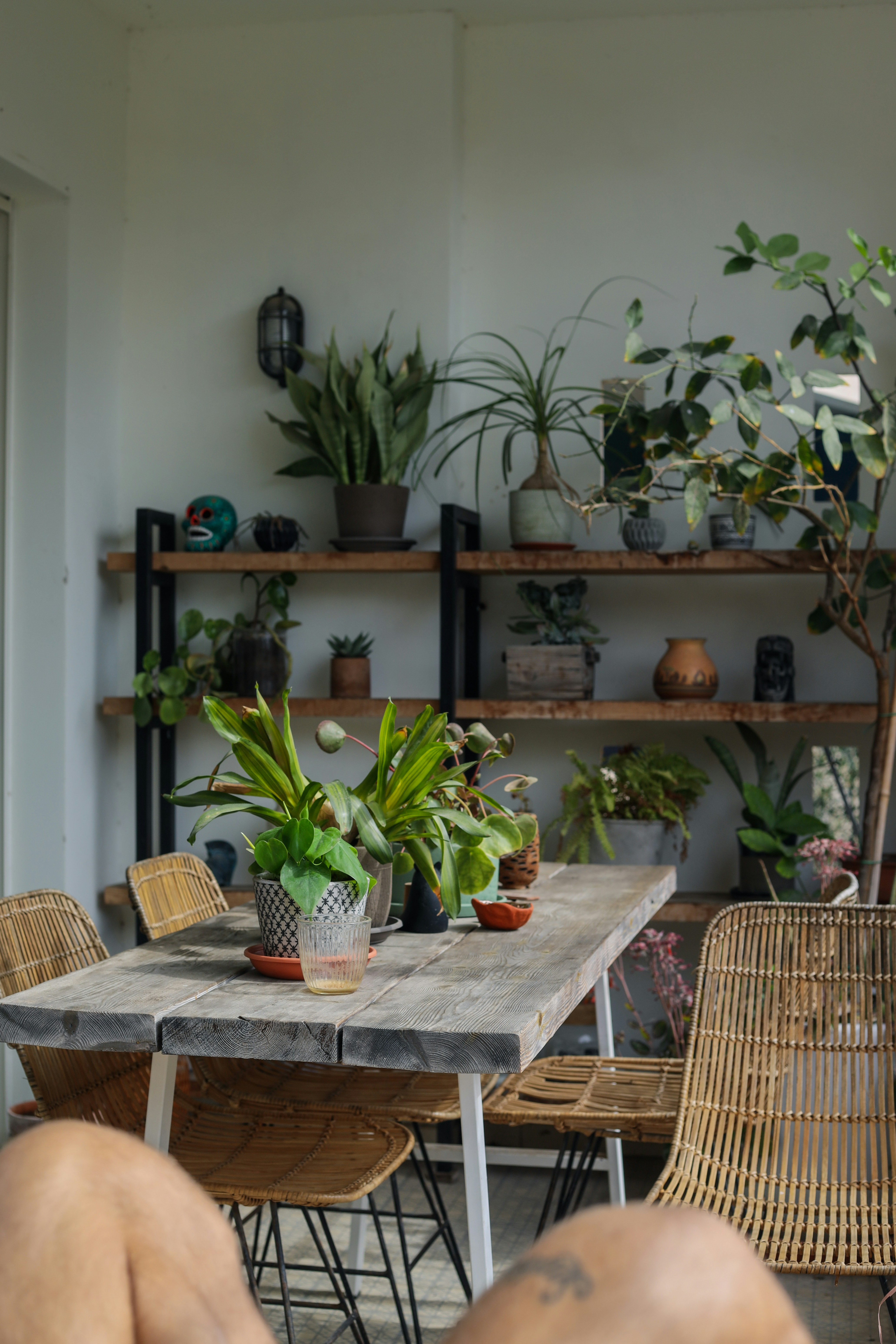 A wooden table topped with lots of potted plants photo Free Plants Image on Unsplash