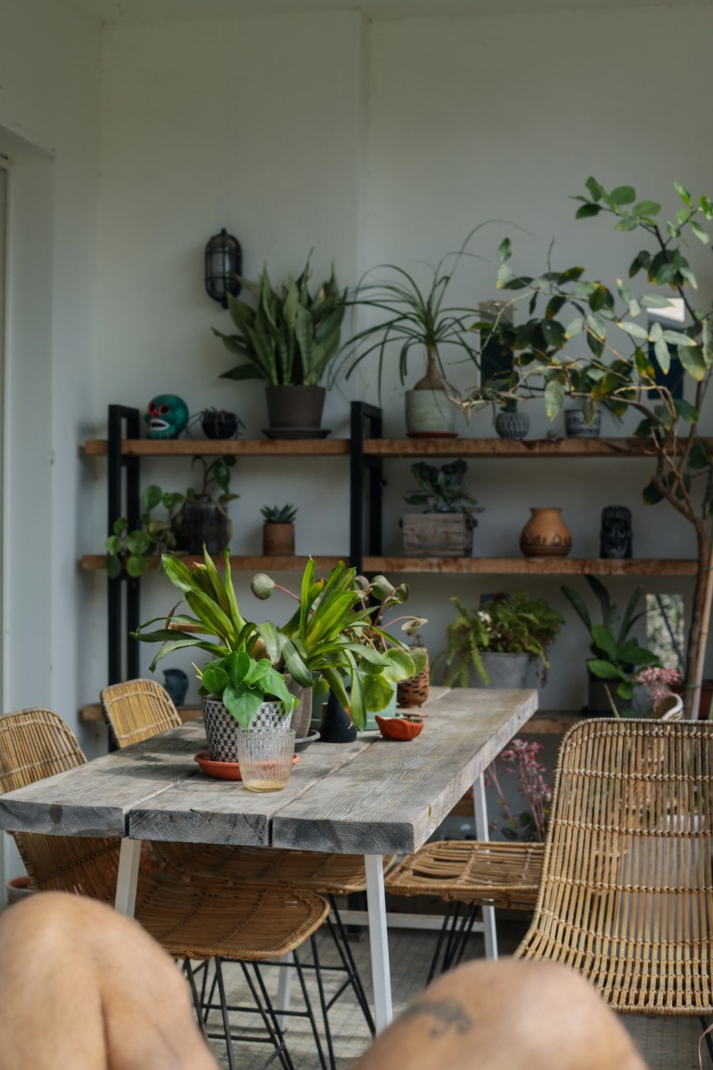 uma mesa de madeira coberta com muitos vasos de plantas