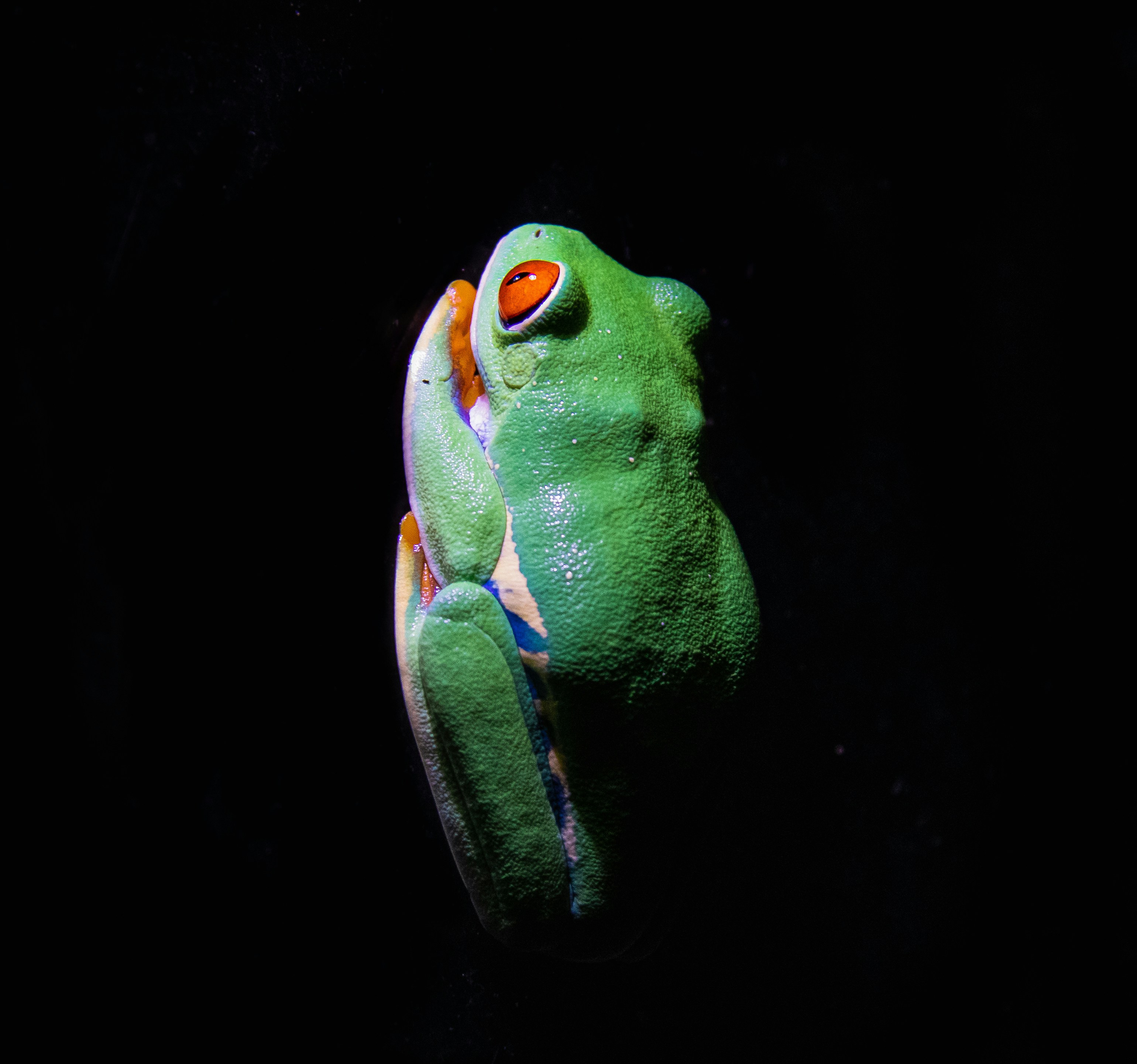 Photo by tbo_desadier