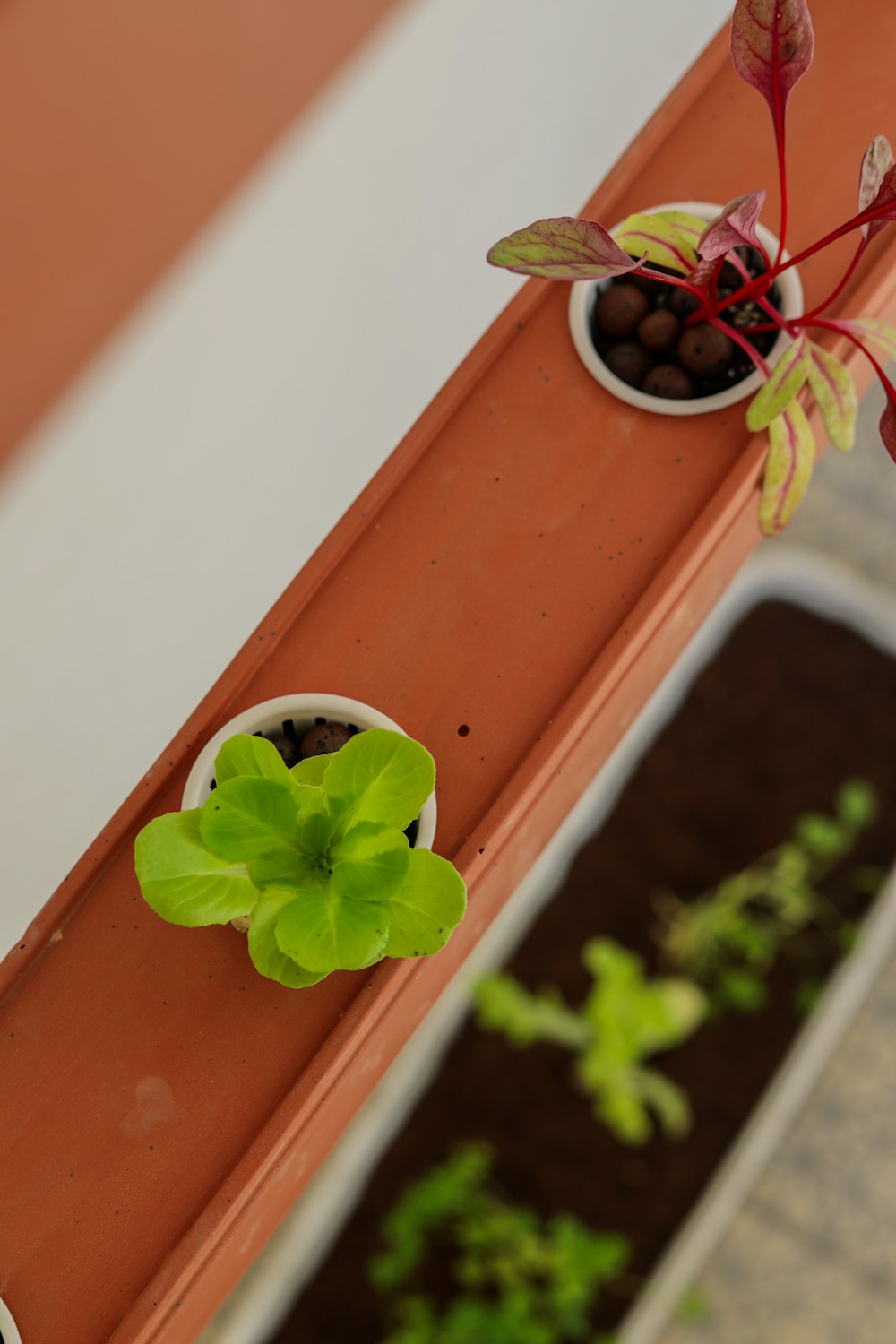 a couple of potted plants sitting on top of a window sill