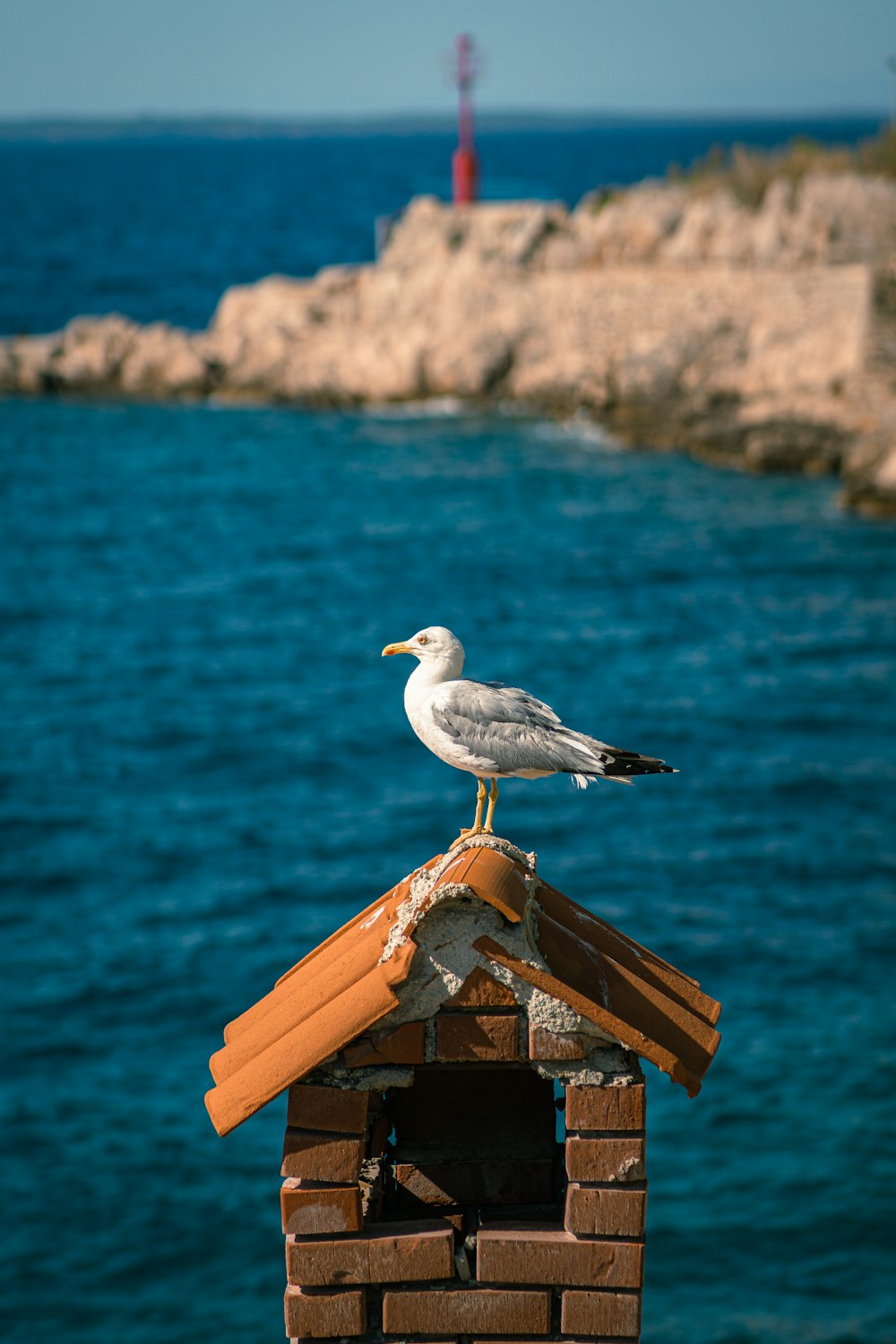 a seagull sitting on top of a bird house