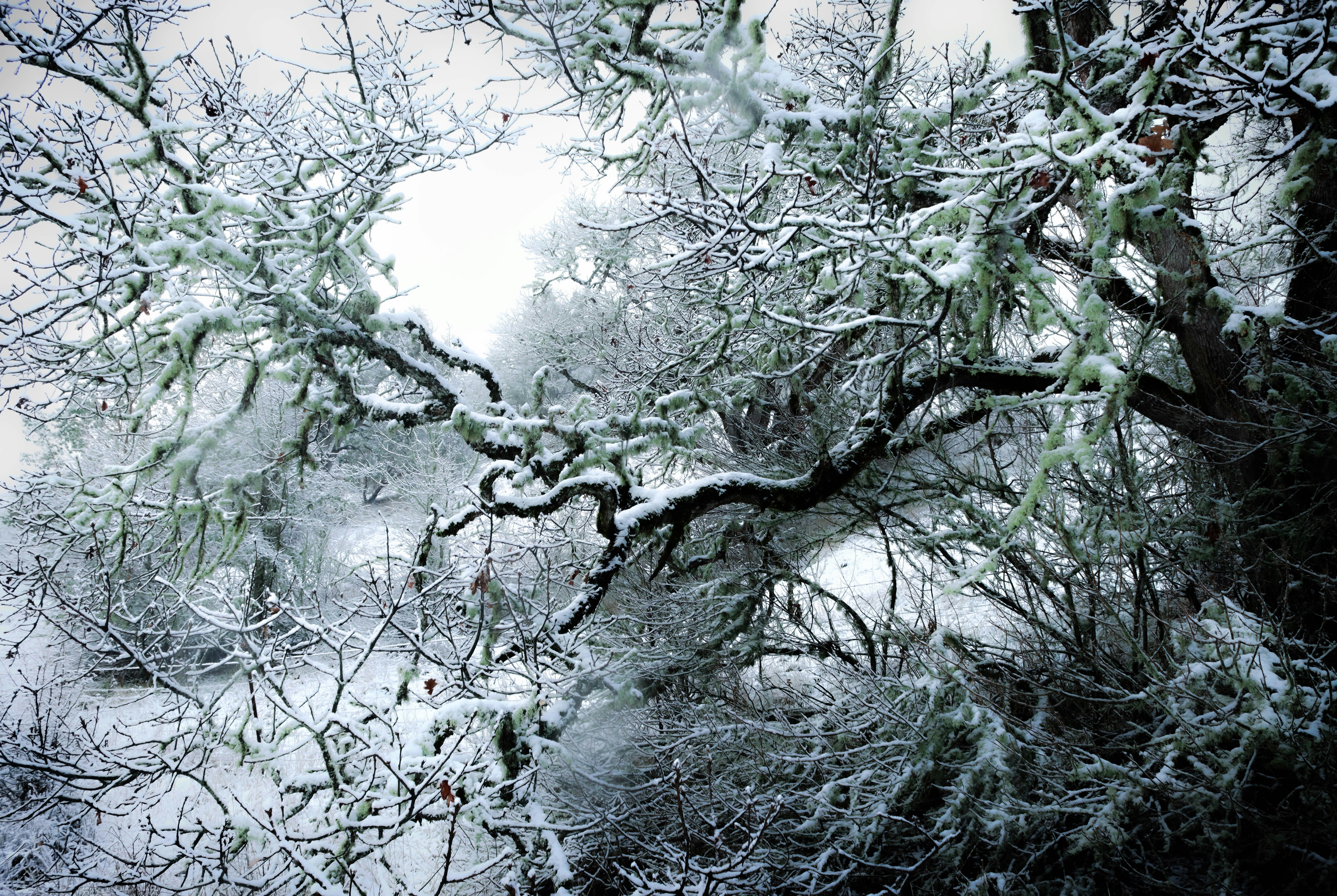 Photo by davidjboozer