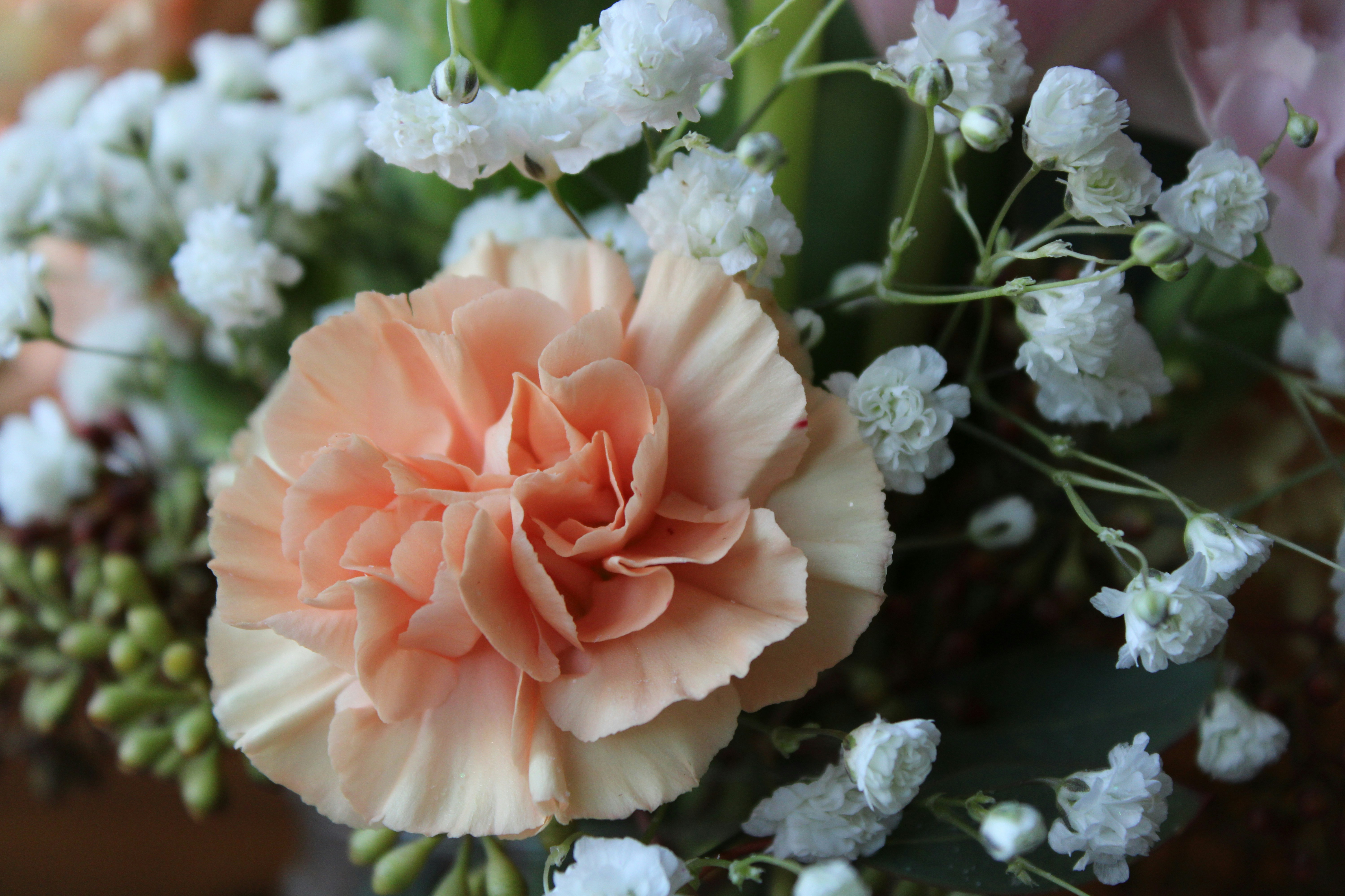 Photo by corinn_suess10