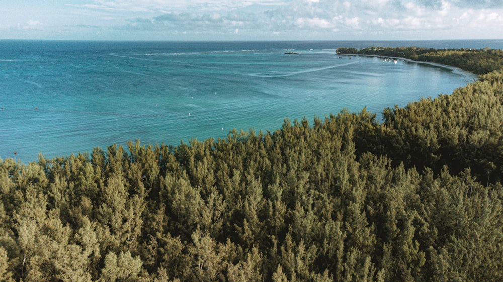 an aerial view of a body of water surrounded by trees