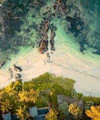 an aerial view of a beach with a surfboard in the water