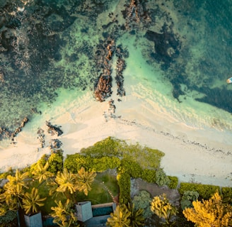 an aerial view of a beach with a surfboard in the water
