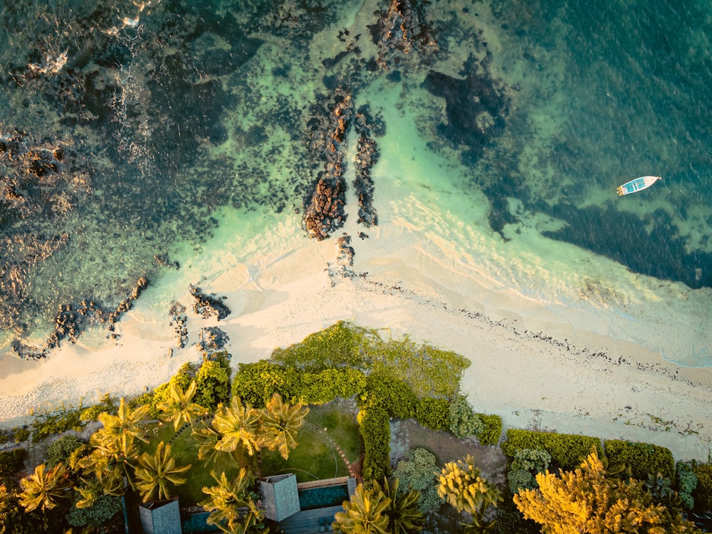 an aerial view of a beach with a surfboard in the water