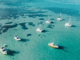 a group of boats floating on top of a body of water