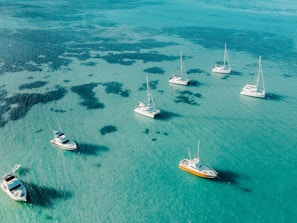 a group of boats floating on top of a body of water