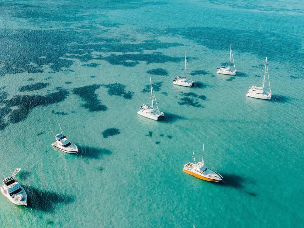 a group of boats floating on top of a body of water