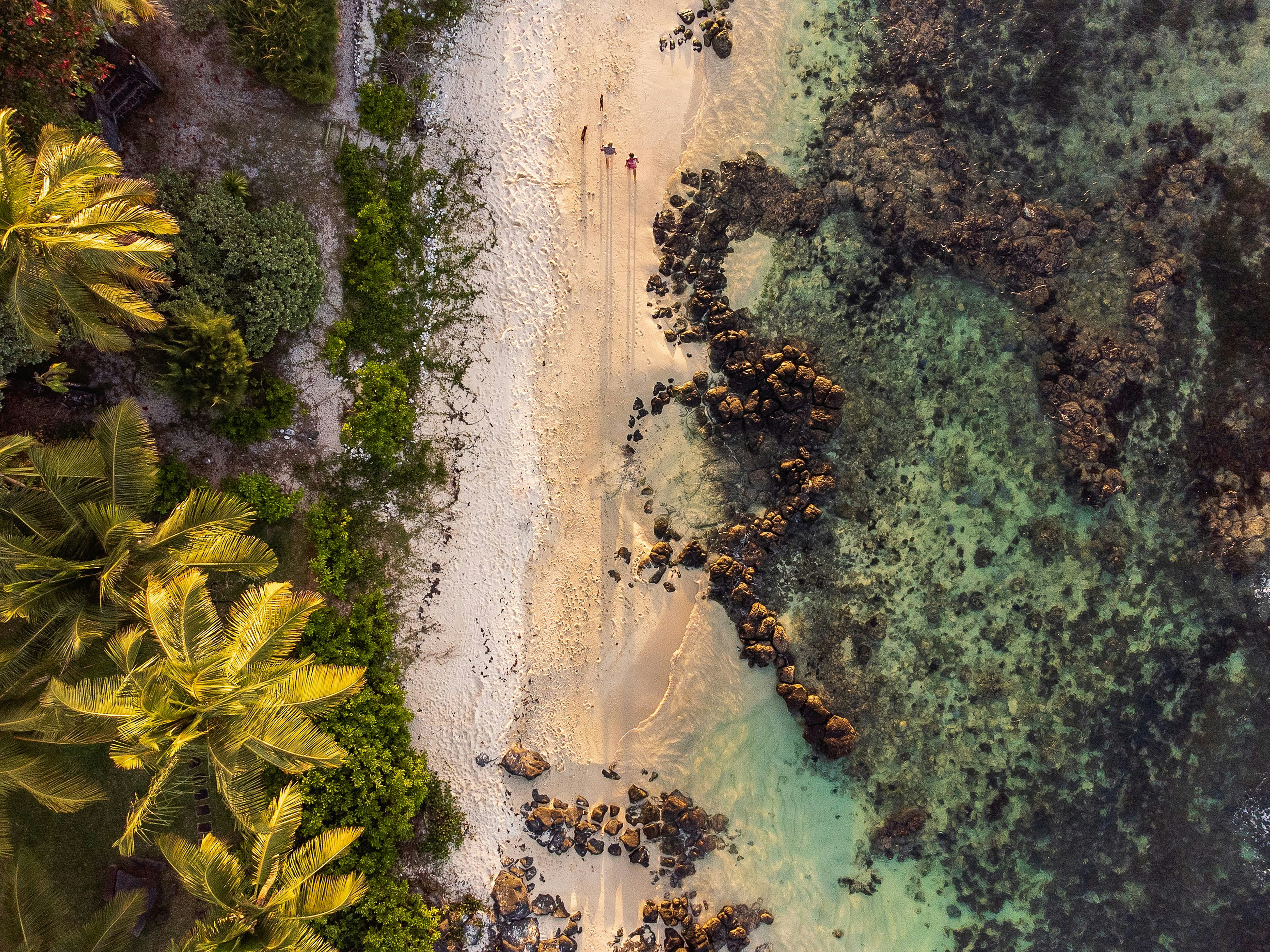 Papeete, French Polynesia (Moorea Island) - None
