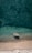 A serene view of a private yacht anchored near a sandy beach with clear blue waters.
