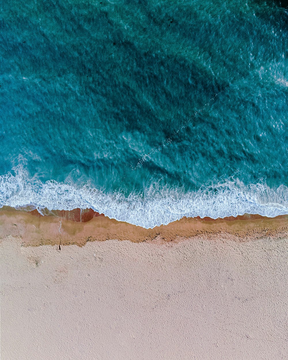 une vue aérienne d’une plage de sable et de l’océan