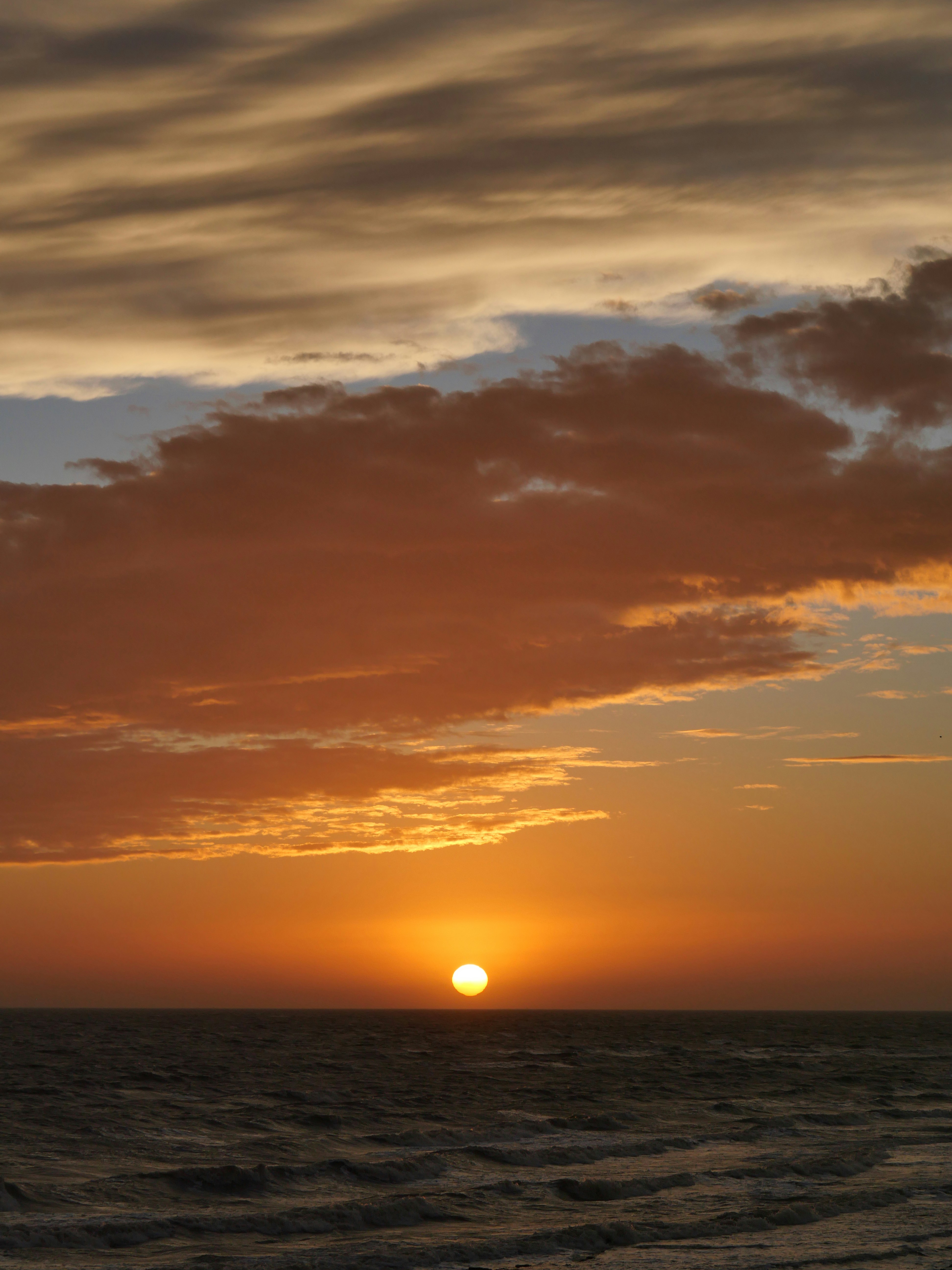 Photo by nimbus_vulpis