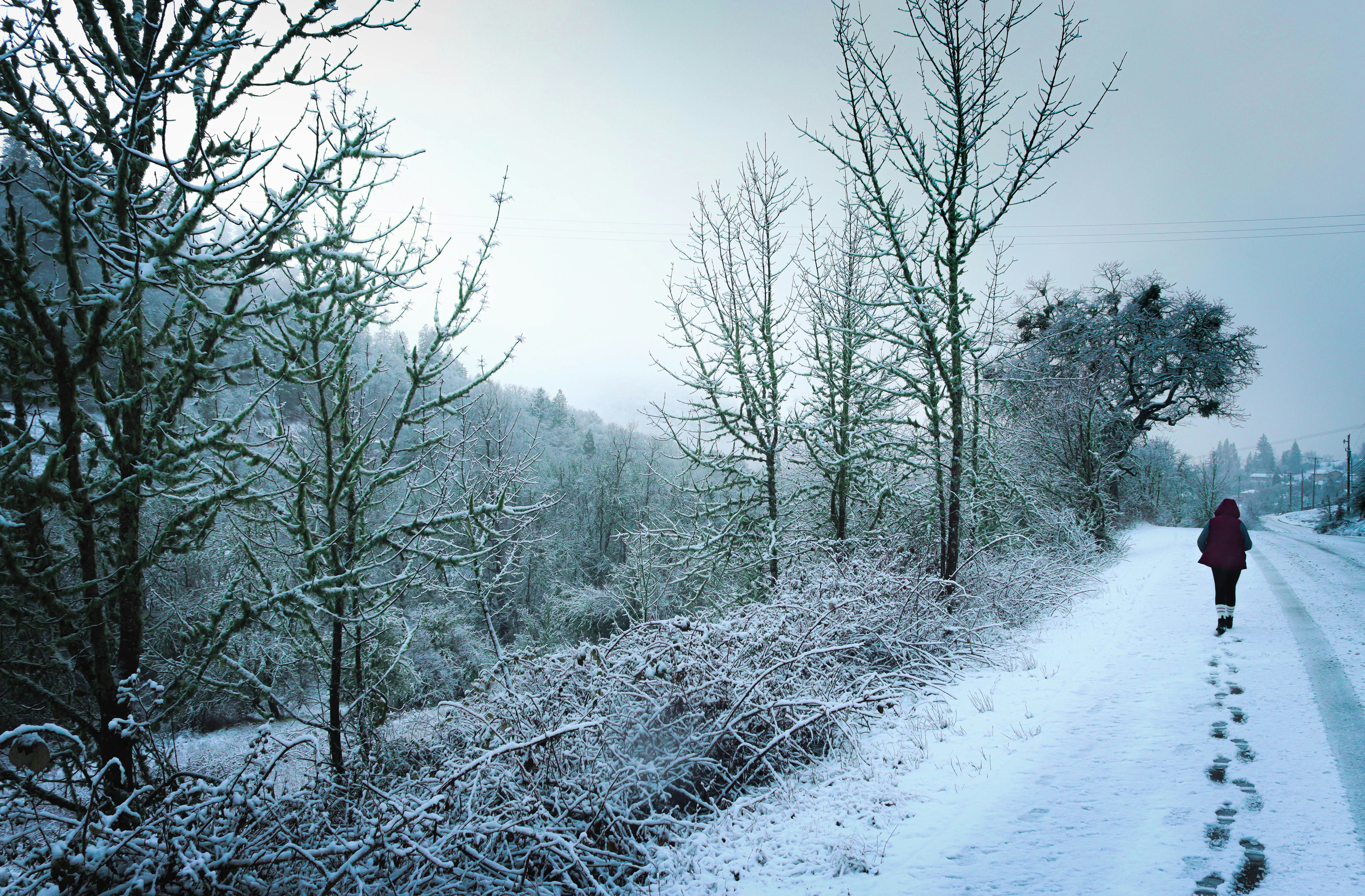 a person walking down a snow covered road