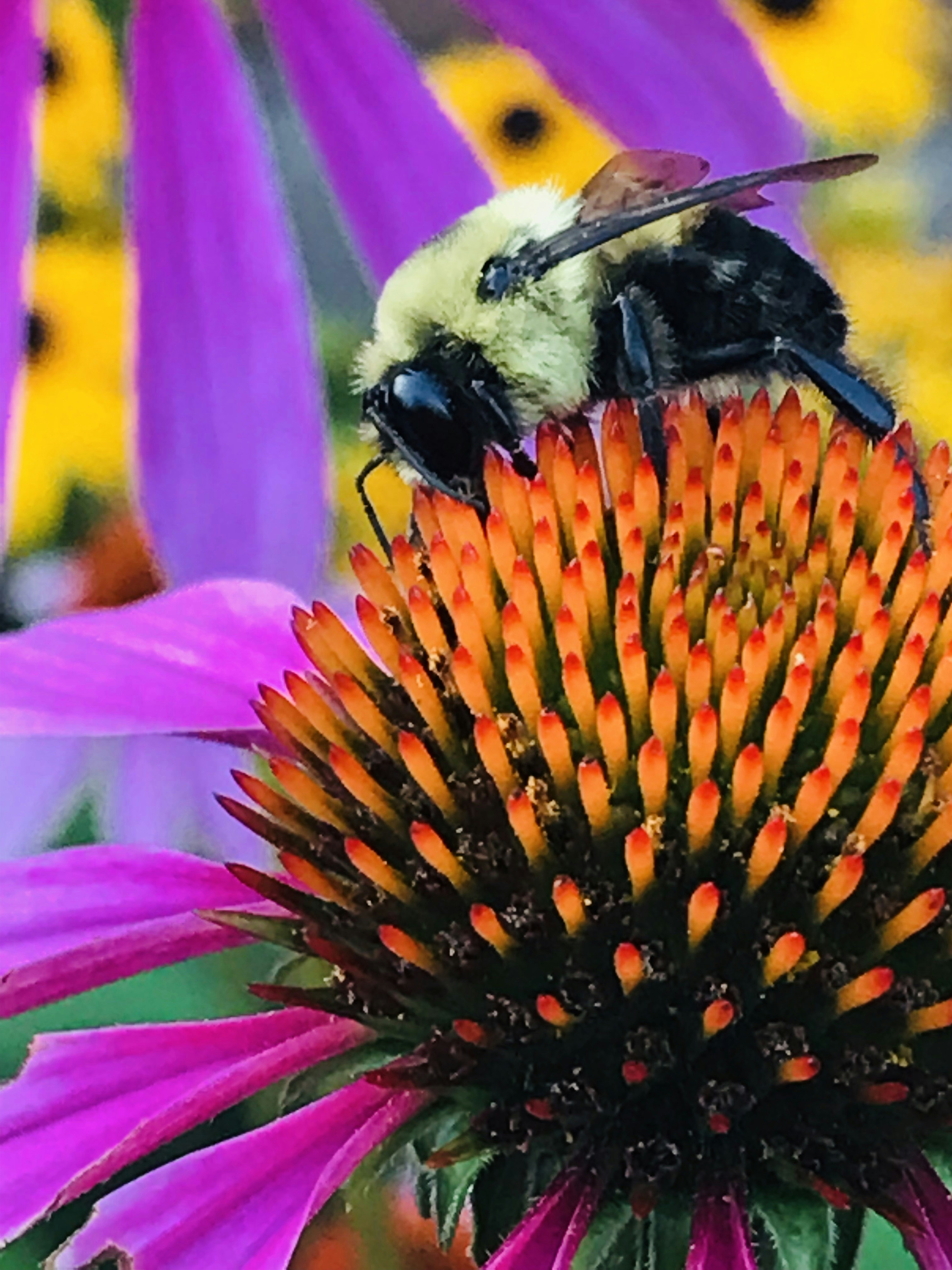 Photo by chrismacfarlane