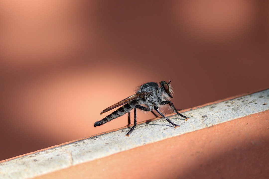 West Nile Virus Alert 7 Essential