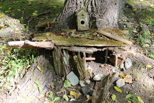 A miniature, rustic birdhouse sits on the base of a tree trunk surrounded by natural materials. The structure is made of wood, moss, and stones, blending into the forest floor. Various small wooden planks and twigs are arranged as part of the design, creating an enchanting, whimsical appearance.