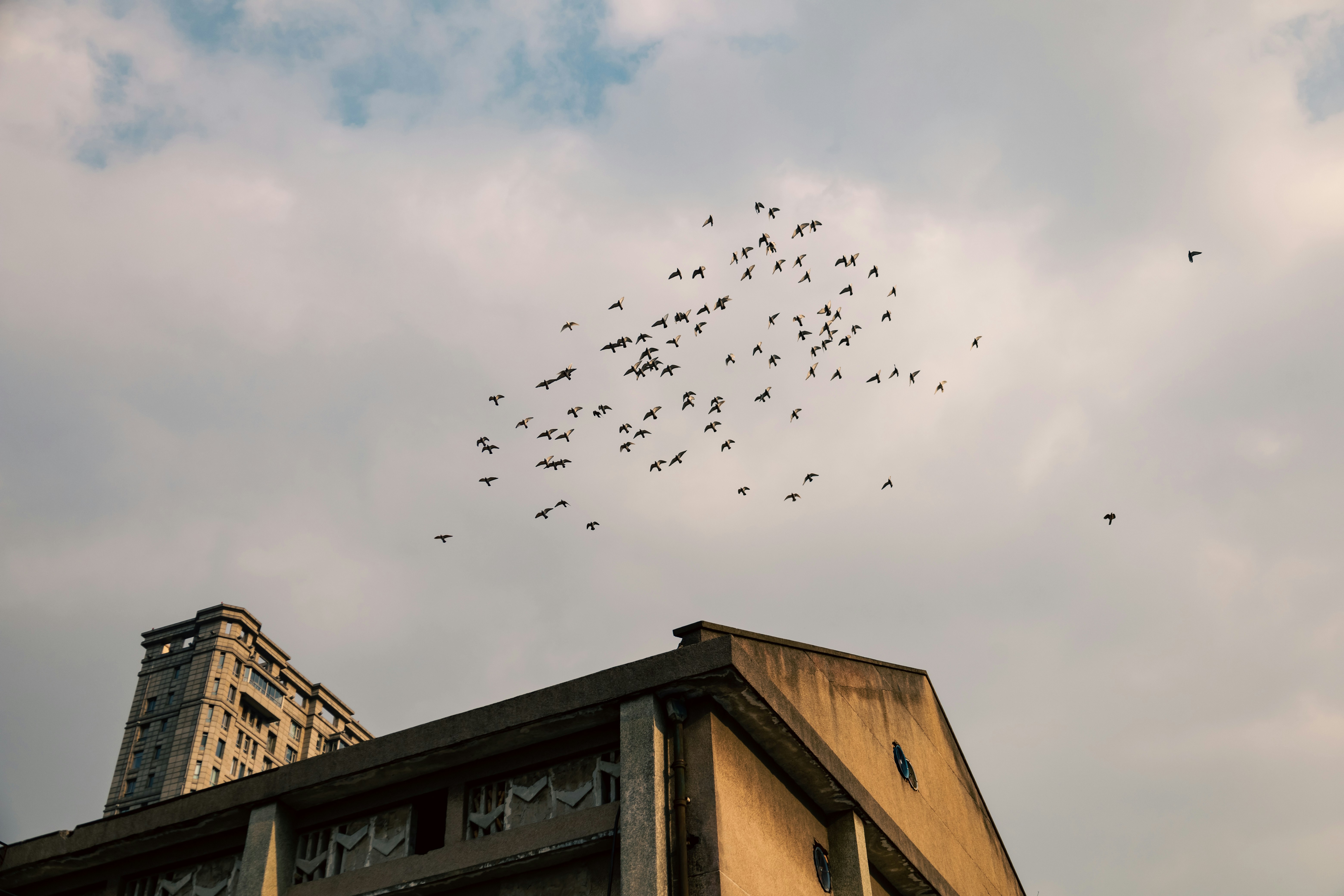 Photo by faintsam