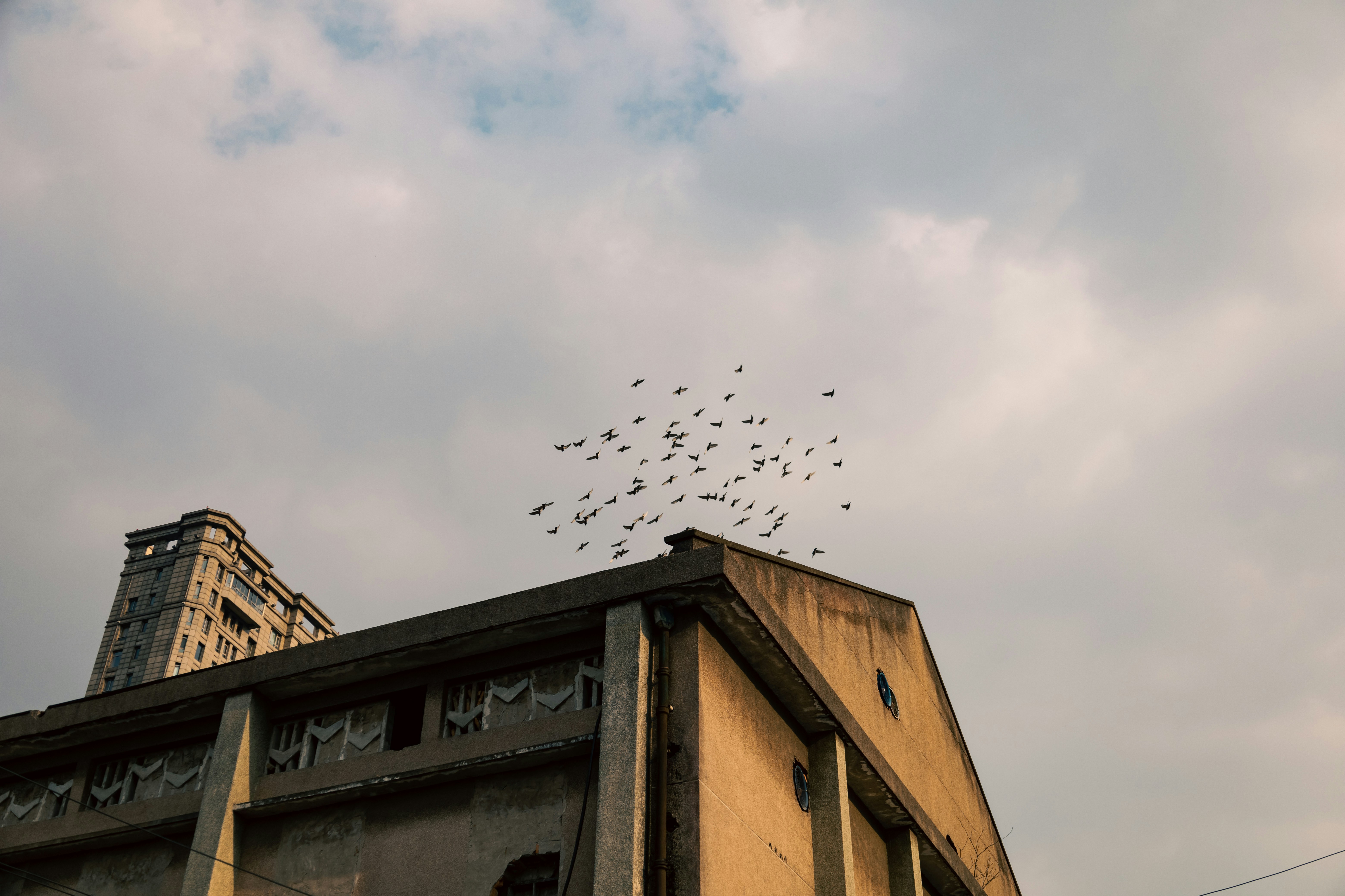 Photo by faintsam