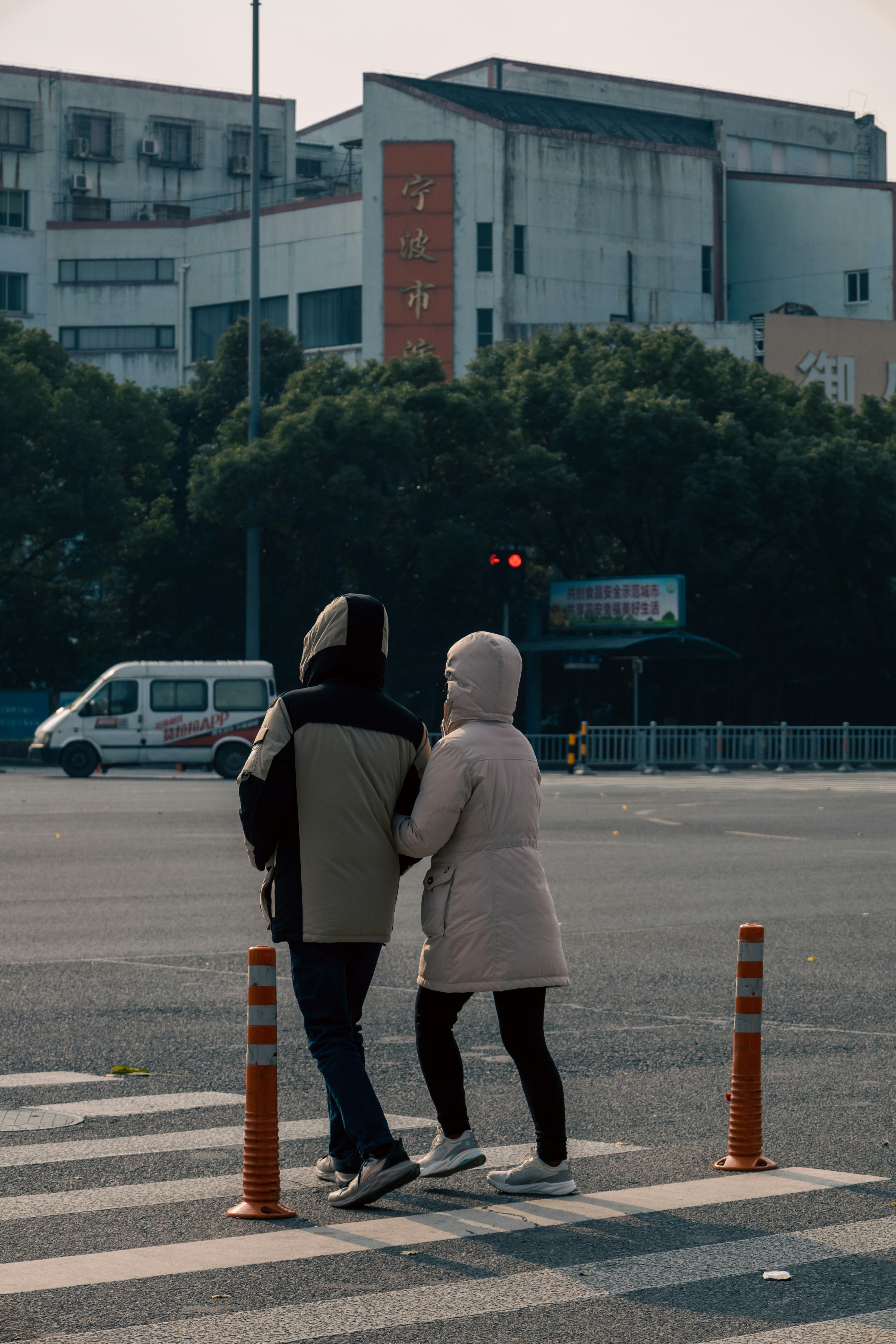 Tanjiro and Nezuko standing together, highlighting their bond