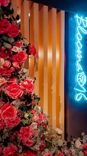 A vibrant floral arrangement with large, lush red and pink roses is set against a backdrop of vertical wooden panels. A neon sign in bright blue spells out 'Bloom' on the right, adding a modern touch to the scene.
