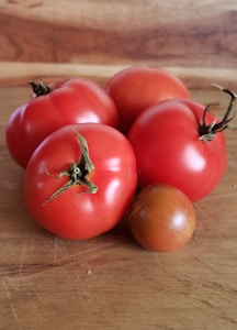 Fresh Red Tomatoes