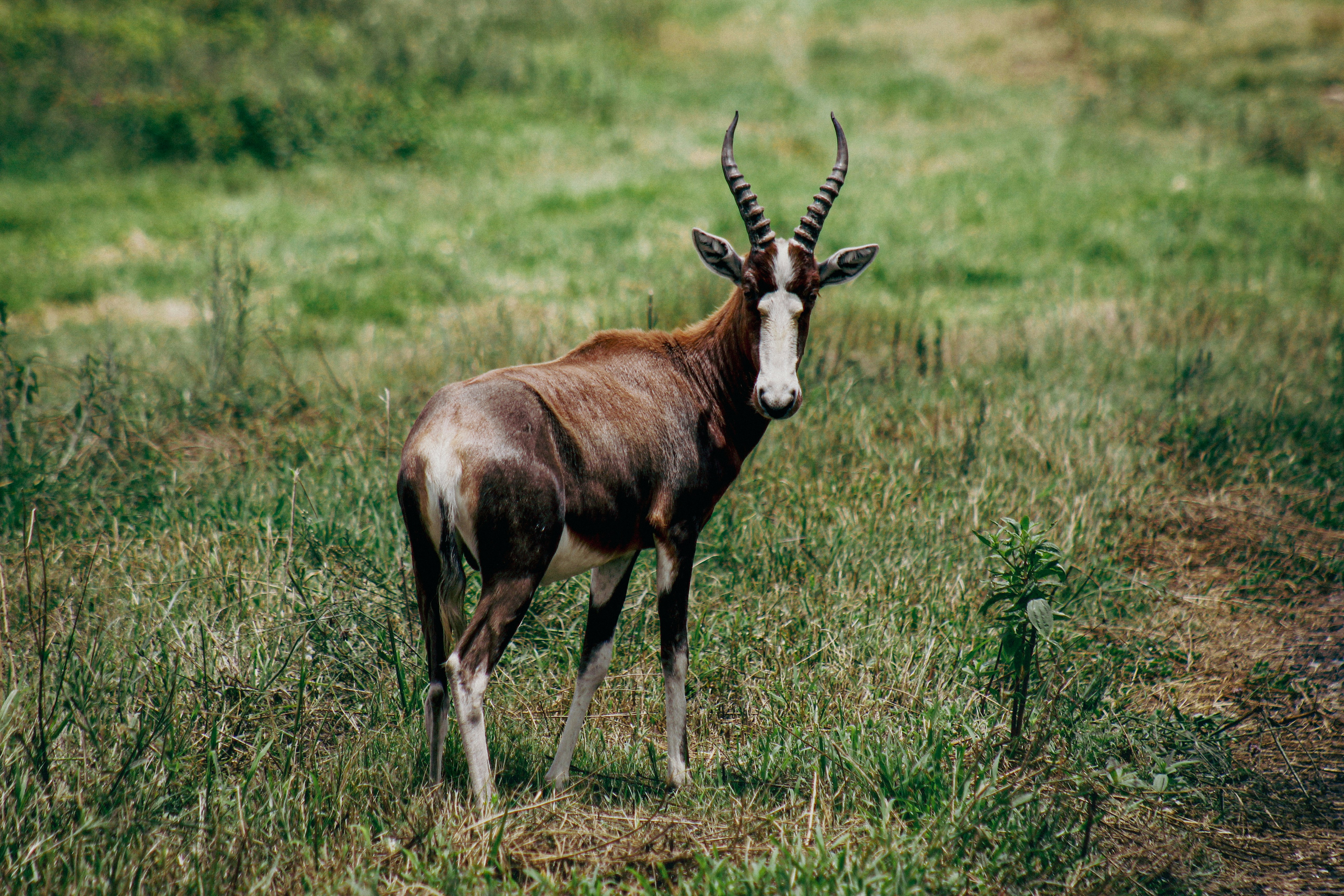 Photo by jordanphotographs