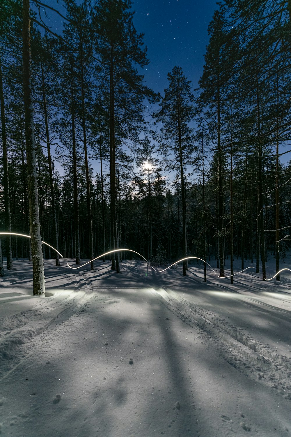 a snow covered road in the middle of a forest