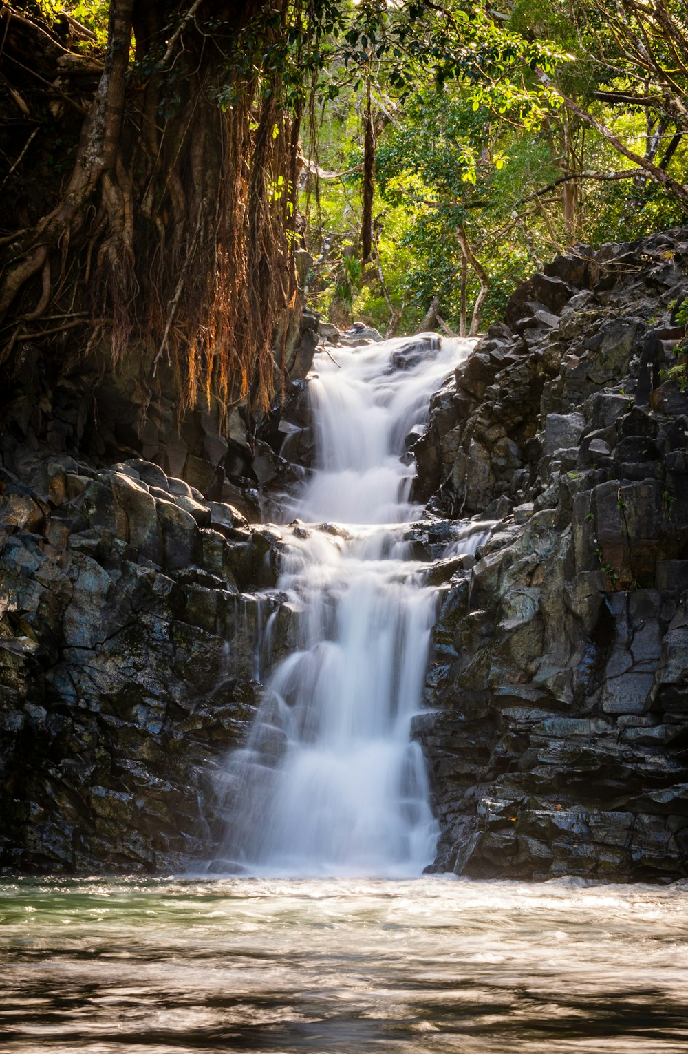 a small waterfall in the middle of a forest