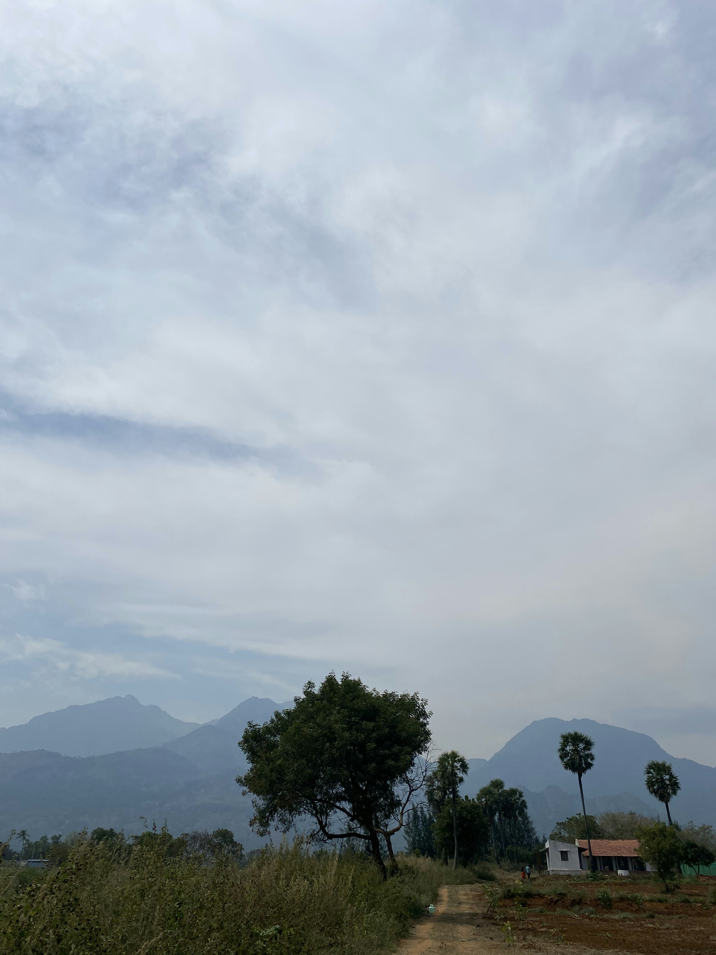 Photo by rajgajendran