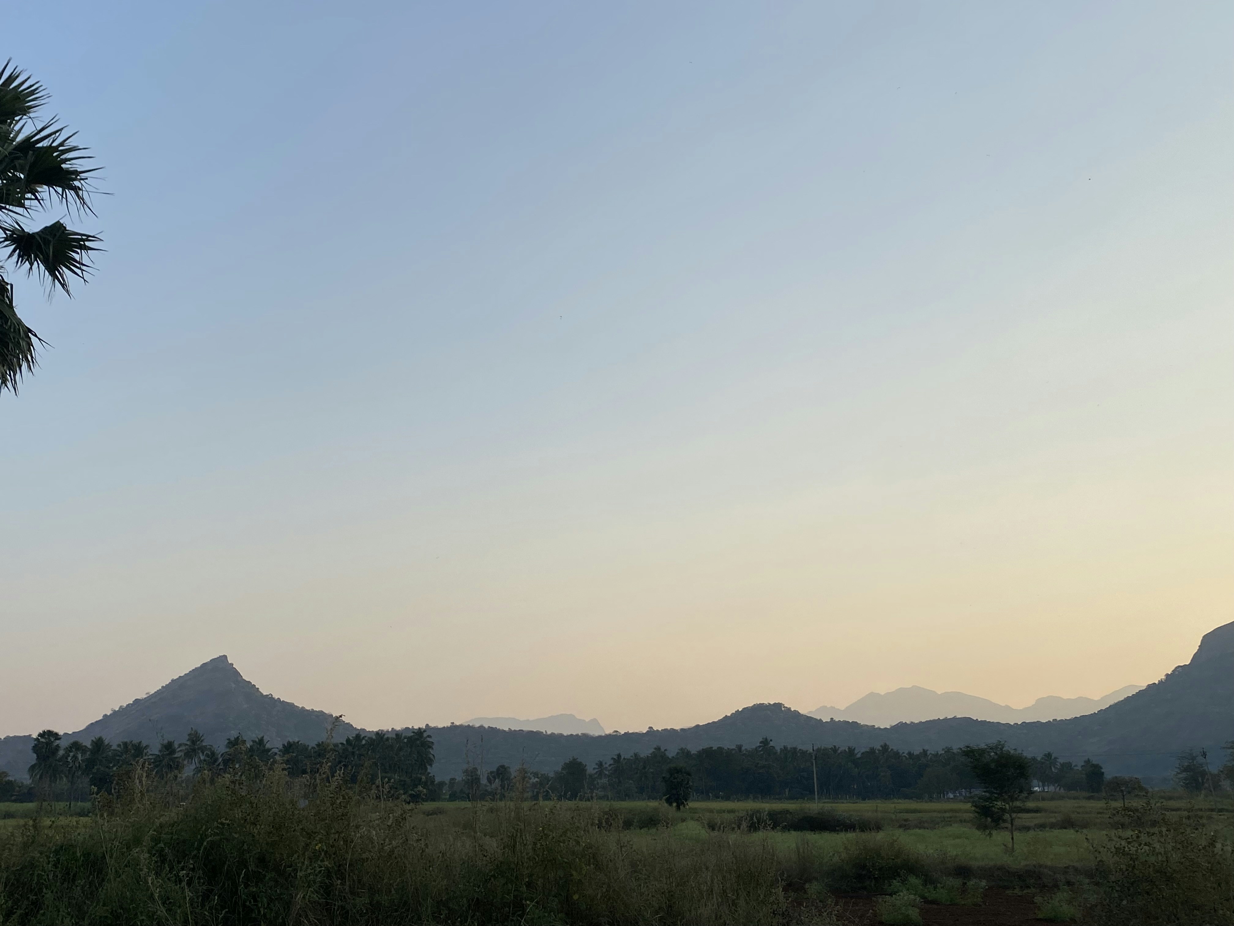 Photo by rajgajendran