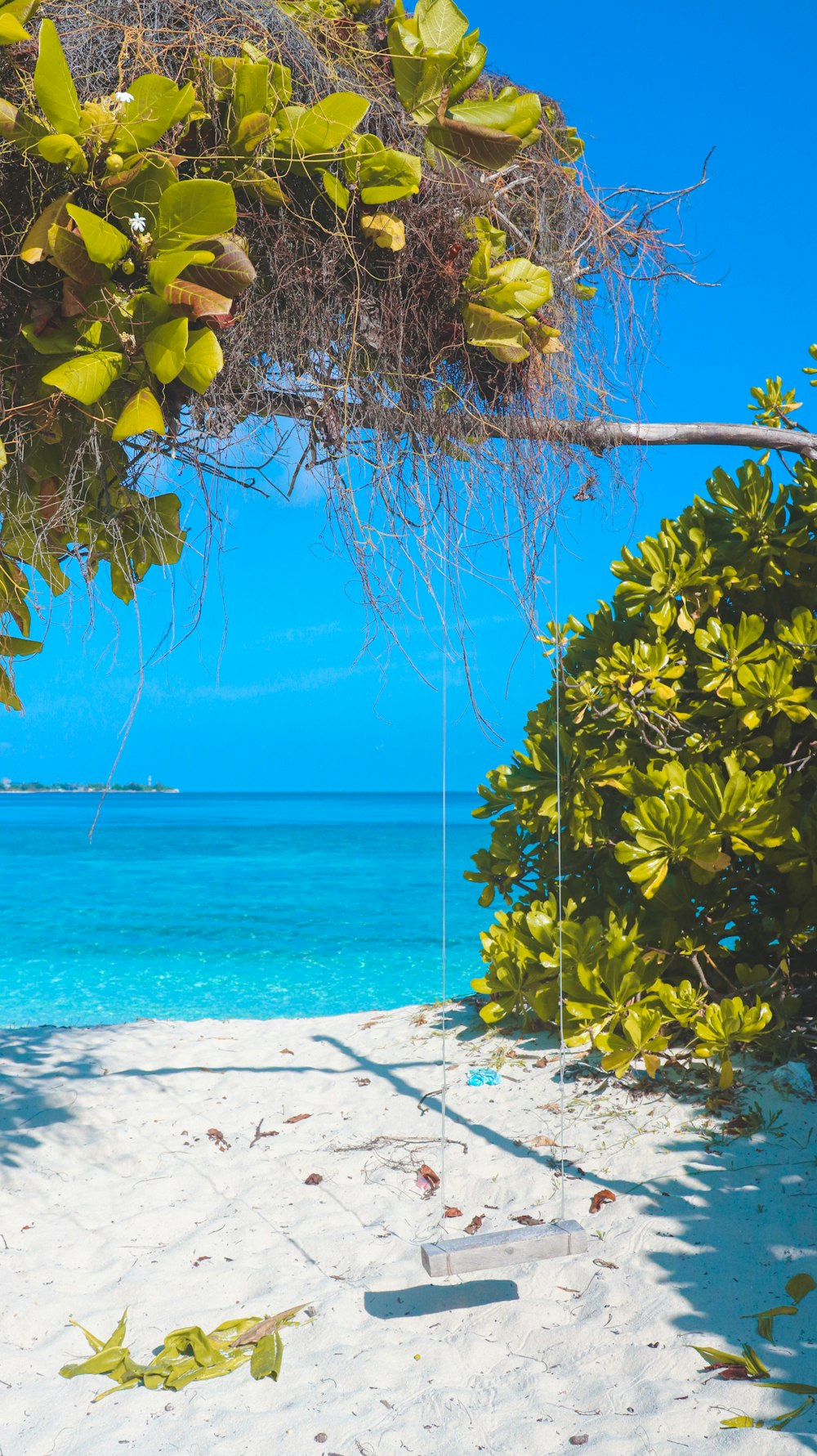 a white sandy beach with a blue ocean in the background