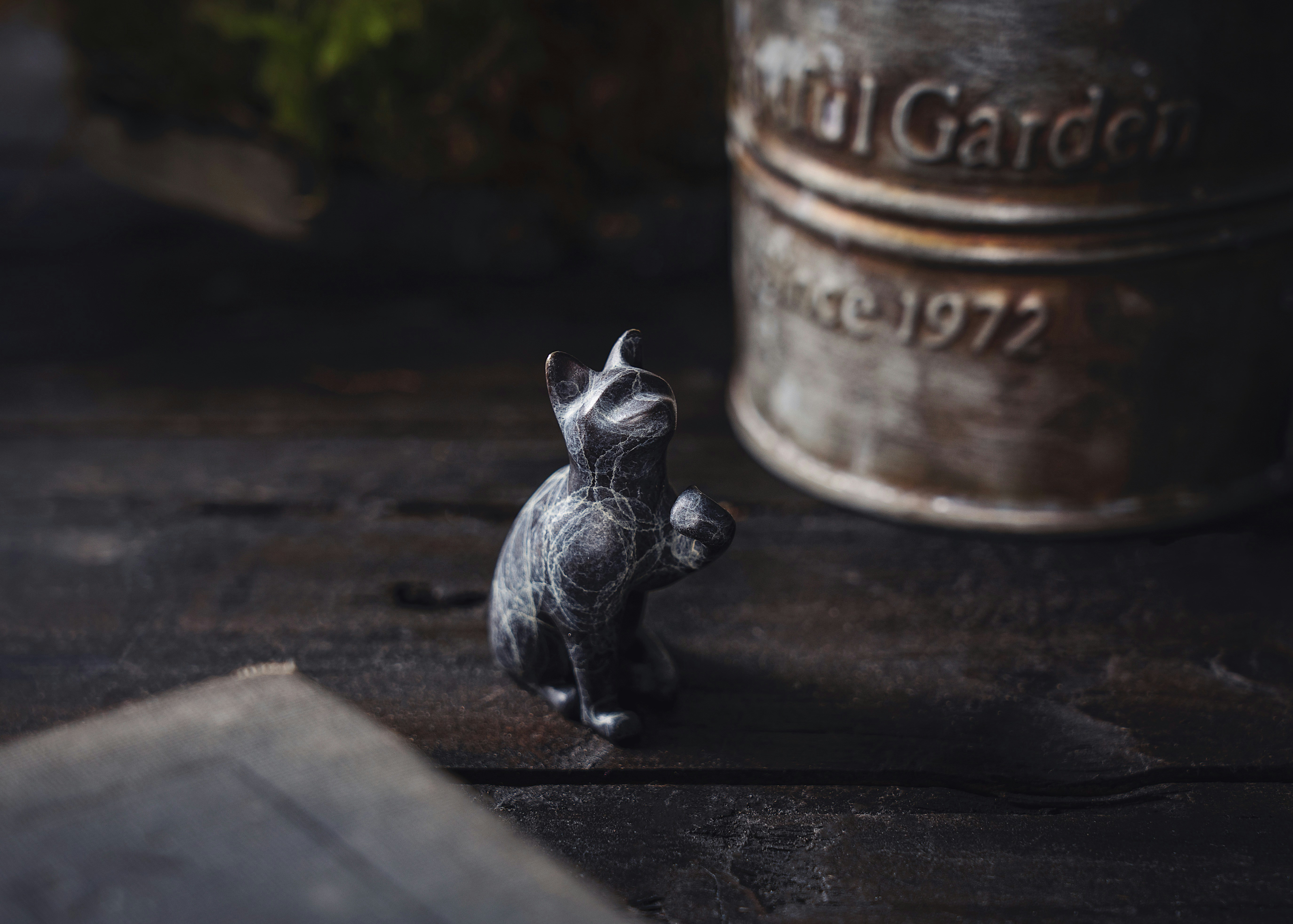 Photo by coppertistwu