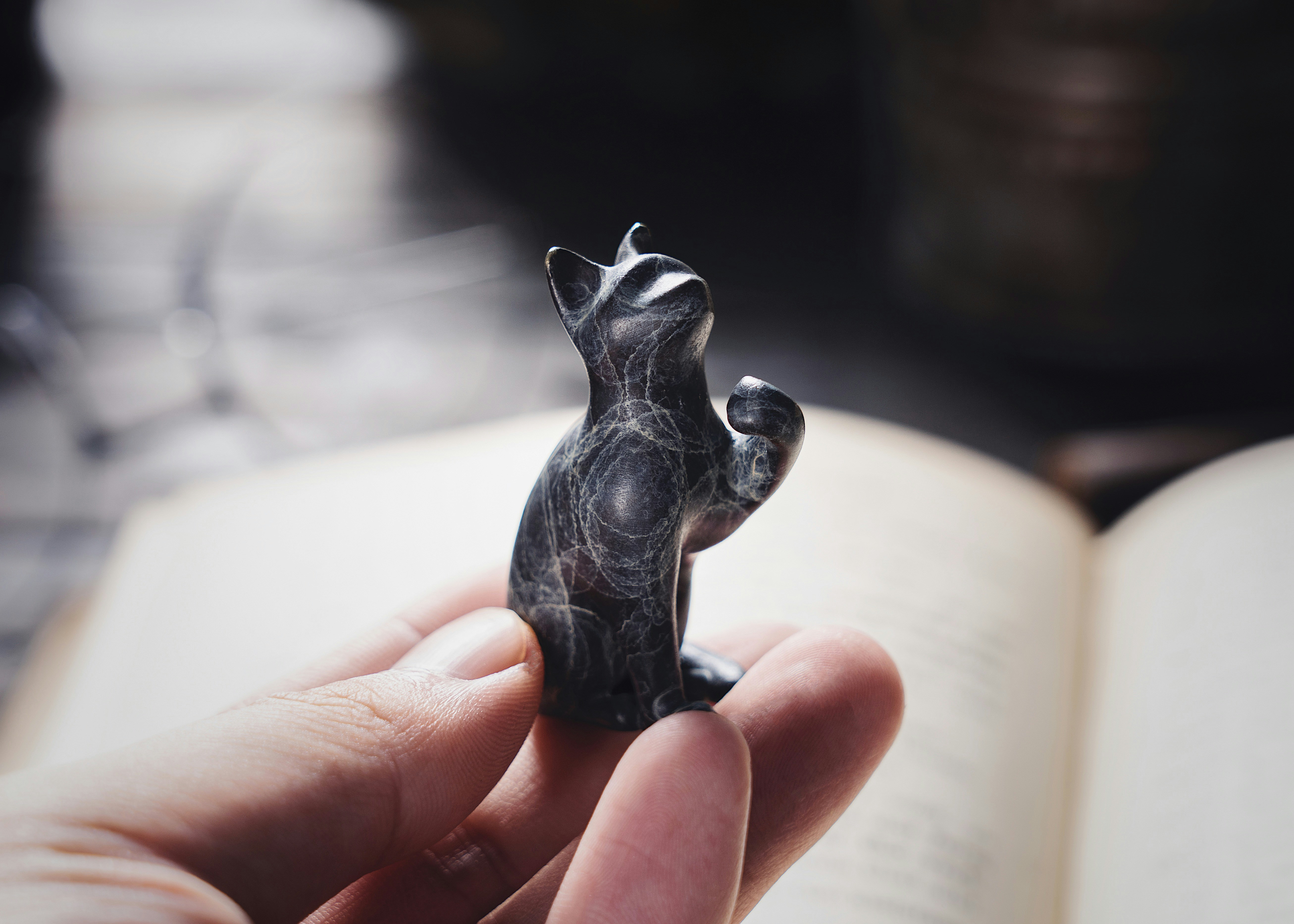 Photo by coppertistwu